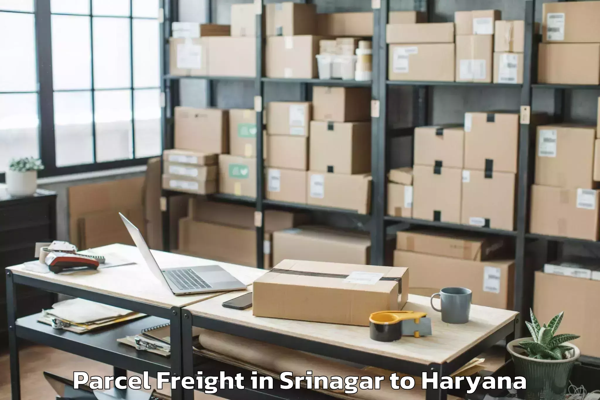 Discover Srinagar to Manav Rachna International Ins Parcel Freight